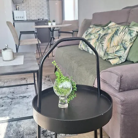 Apartamentai Prie Akropolio Graziu Vaizdu I Miesta * Klaipėda