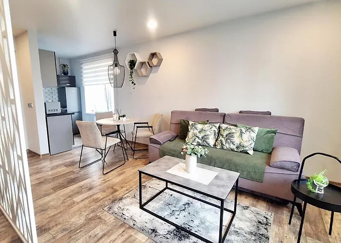 Apartamentai Prie Akropolio Graziu Vaizdu I Miesta Daire Klaipėda